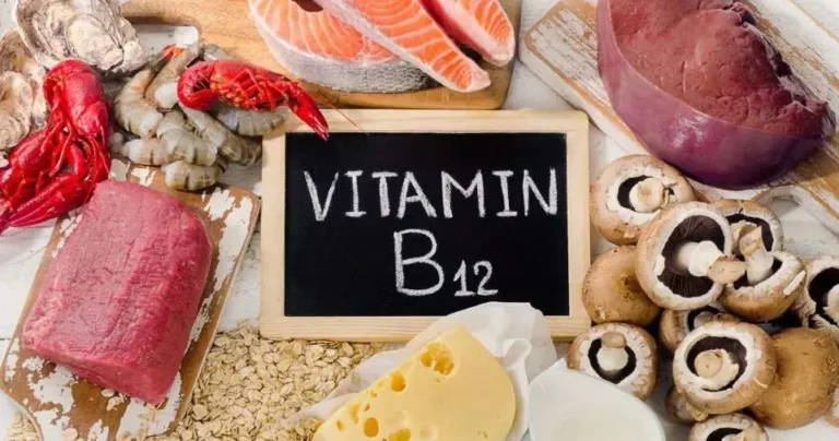 Wellhealthorganic Vitamin B12 in Our Human Body